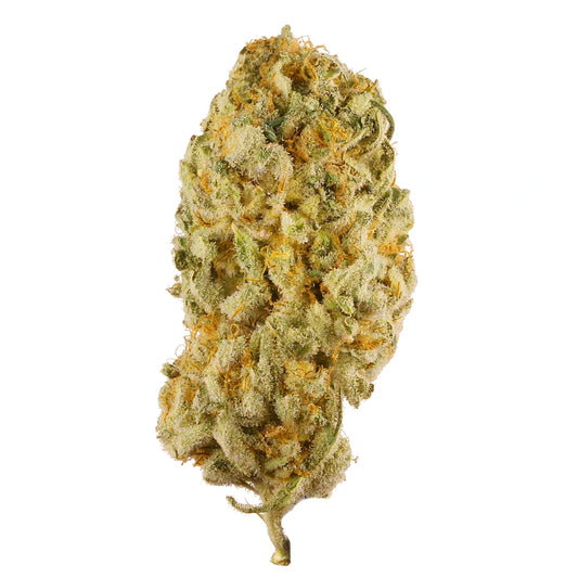 Girl Scout Cookies